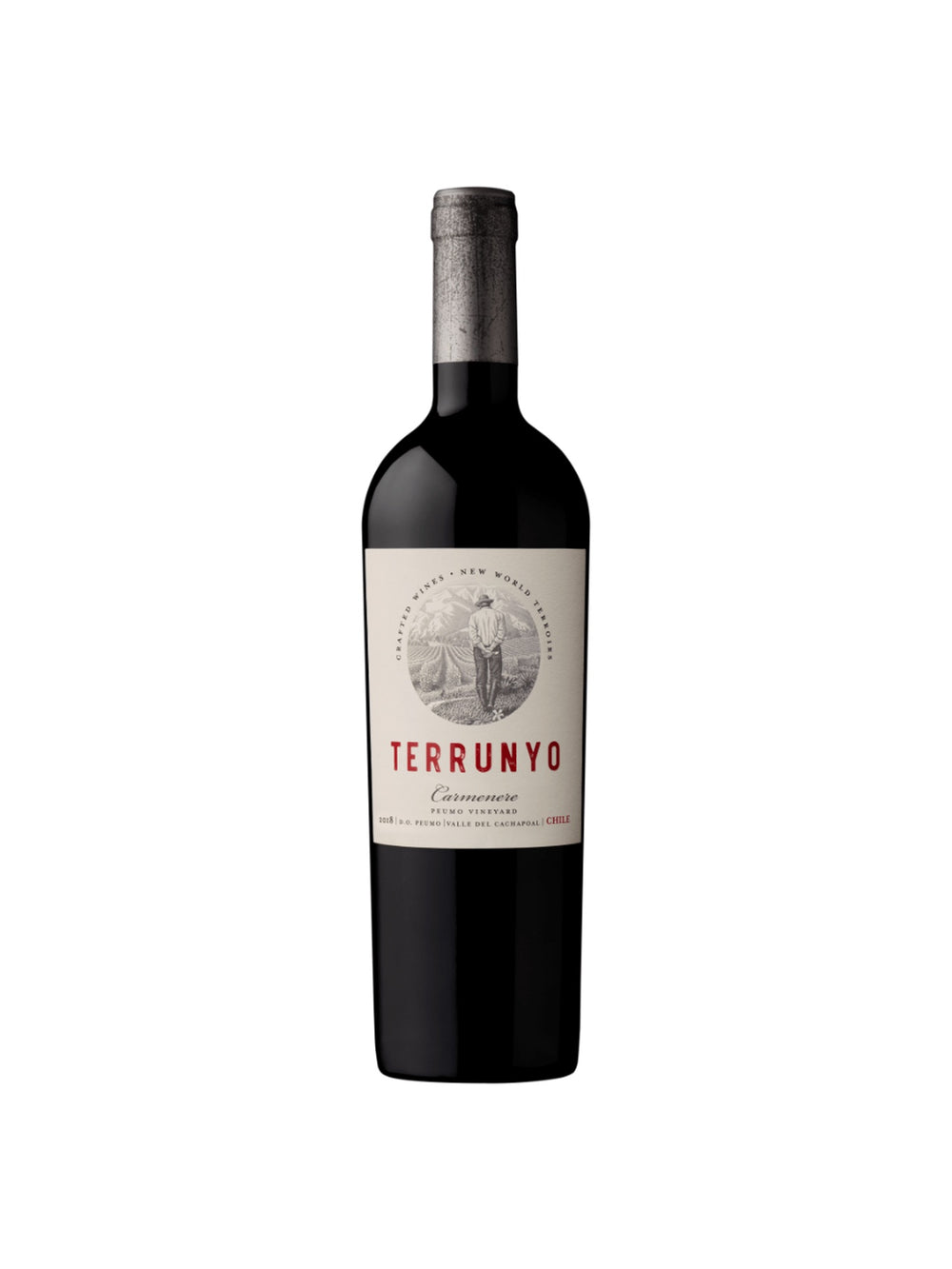 V.T. Terrunyo Carmenere - 750 Ml