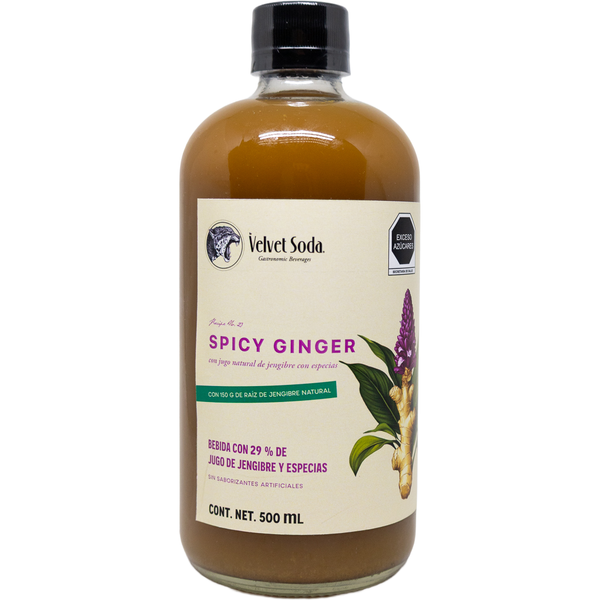 Concentrado de Jengibre Velvet Soda Spicy Ginger - 500 Ml